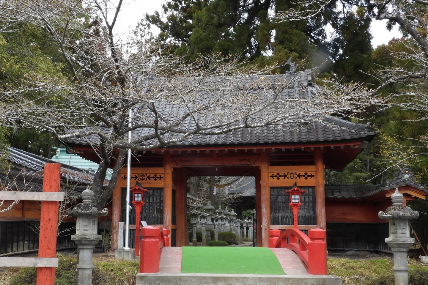 涼ヶ岡八幡神社 桜 開花情報
