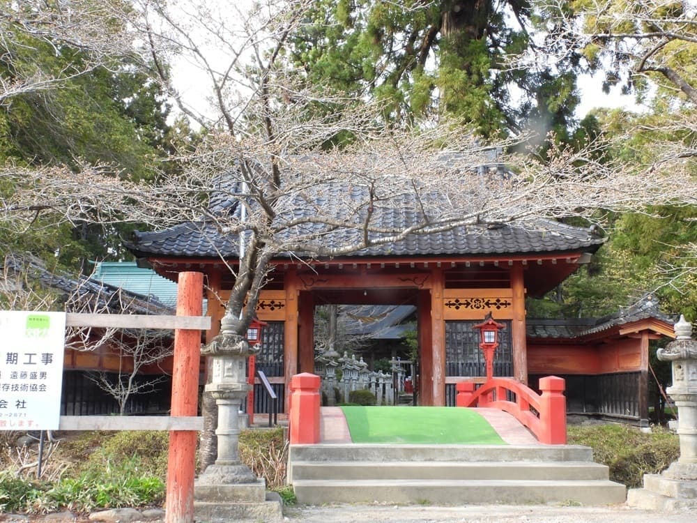 涼ヶ岡八幡神社 桜 開花情報