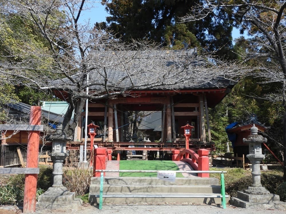 涼ヶ岡八幡神社　桜　