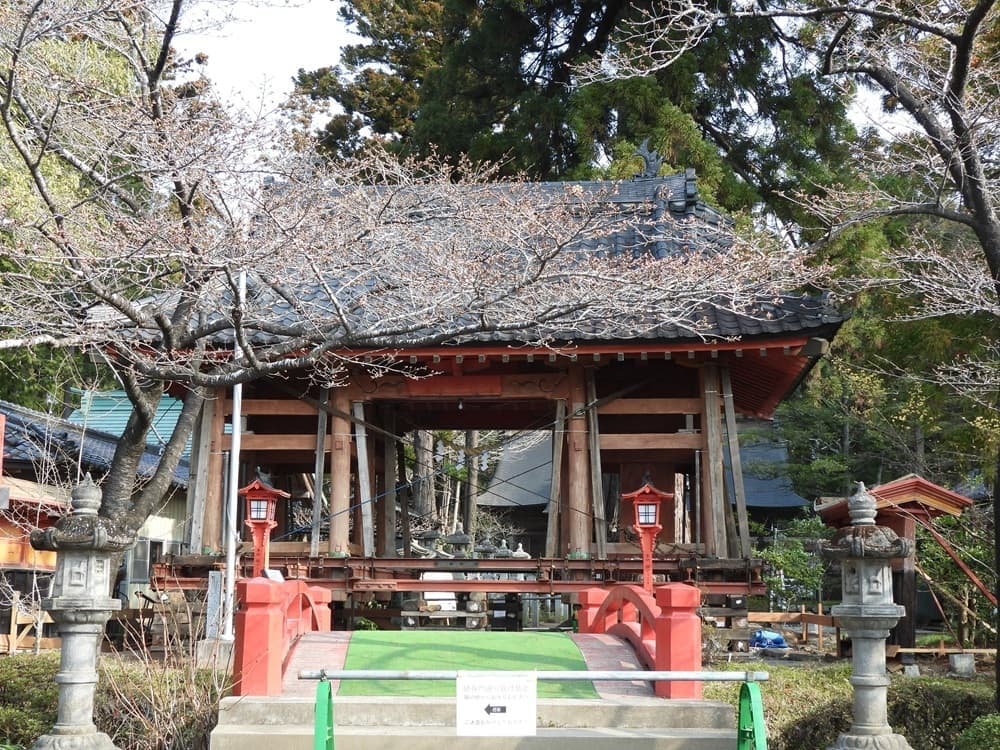 涼ヶ岡八幡神社　桜　